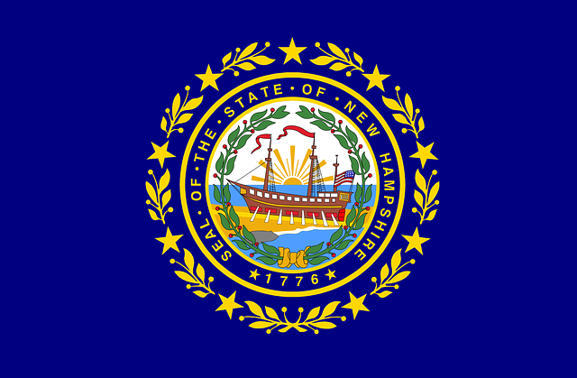 New Hampshire state flag